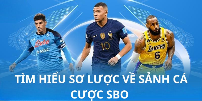 Tìm hiểu sơ lược về sảnh cá cược SBO